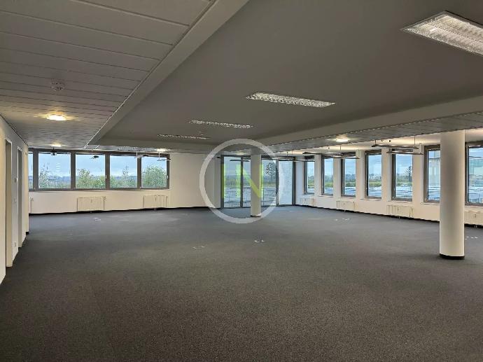 350m2 of office space to rent - Leudelange