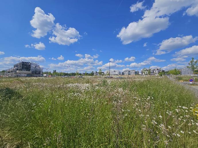 Projet de 7 appartements à vendre à Merl